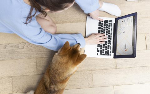 How to Protect Yourself from Loan Scams Online